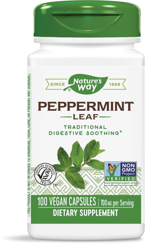 Nature's Way Peppermint Leaf за здрав стомах при газове 350мг 100 V-капсули